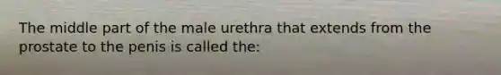 The middle part of the male urethra that extends from the prostate to the penis is called the: