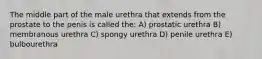 The middle part of the male urethra that extends from the prostate to the penis is called the: A) prostatic urethra B) membranous urethra C) spongy urethra D) penile urethra E) bulbourethra