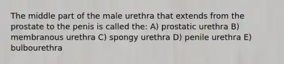 The middle part of the male urethra that extends from the prostate to the penis is called the: A) prostatic urethra B) membranous urethra C) spongy urethra D) penile urethra E) bulbourethra