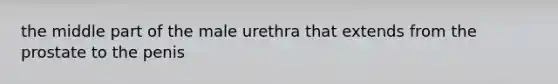 the middle part of the male urethra that extends from the prostate to the penis