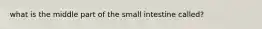 what is the middle part of the small intestine called?