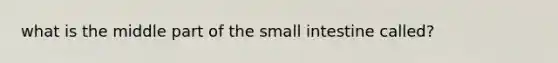 what is the middle part of the small intestine called?