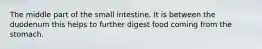 The middle part of the small intestine. It is between the duodenum this helps to further digest food coming from the stomach.