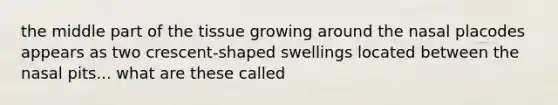 the middle part of the tissue growing around the nasal placodes appears as two crescent-shaped swellings located between the nasal pits... what are these called