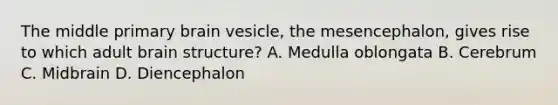 The middle primary brain vesicle, the mesencephalon, gives rise to which adult brain structure? A. Medulla oblongata B. Cerebrum C. Midbrain D. Diencephalon