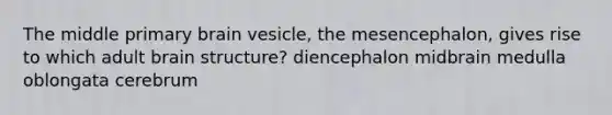 The middle primary brain vesicle, the mesencephalon, gives rise to which adult brain structure? diencephalon midbrain medulla oblongata cerebrum