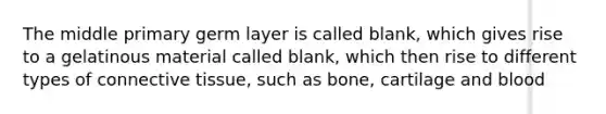 The middle primary germ layer is called blank, which gives rise to a gelatinous material called blank, which then rise to different types of connective tissue, such as bone, cartilage and blood