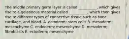 The middle primary germ layer is called __________, which gives rise to a gelatinous material called __________, which then gives rise to different types of connective tissue such as bone, cartilage, and blood. A. ectoderm; stem cells B. mesoderm; mesenchyme C. endoderm; mesenchyme D. mesoderm; fibroblasts E. ectoderm; mesenchyme