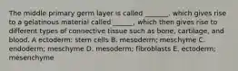 The middle primary germ layer is called _______. which gives rise to a gelatinous material called ______, which then gives rise to different types of connective tissue such as bone, cartilage, and blood. A ectoderm: stem cells B. mesoderm; meschyme C. endoderm; meschyme D. mesoderm; fibroblasts E. ectoderm; mesenchyme