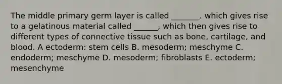 The middle primary germ layer is called _______. which gives rise to a gelatinous material called ______, which then gives rise to different types of connective tissue such as bone, cartilage, and blood. A ectoderm: stem cells B. mesoderm; meschyme C. endoderm; meschyme D. mesoderm; fibroblasts E. ectoderm; mesenchyme