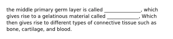 the middle primary germ layer is called _______________, which gives rise to a gelatinous material called _____________, Which then gives rise to different types of connective tissue such as bone, cartilage, and blood.