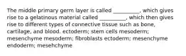 The middle primary germ layer is called __________, which gives rise to a gelatinous material called __________, which then gives rise to different types of connective tissue such as bone, cartilage, and blood. ectoderm; stem cells mesoderm; mesenchyme mesoderm; fibroblasts ectoderm; mesenchyme endoderm; mesehchyme