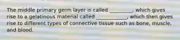 The middle primary germ layer is called _________, which gives rise to a gelatinous material called ____________, which then gives rise to different types of connective tissue such as bone, muscle, and blood.