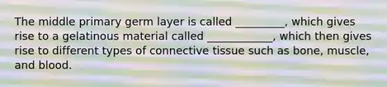 The middle primary germ layer is called _________, which gives rise to a gelatinous material called ____________, which then gives rise to different types of connective tissue such as bone, muscle, and blood.