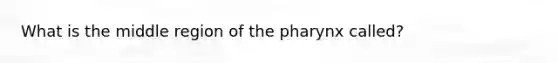 What is the middle region of the pharynx called?