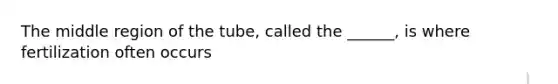 The middle region of the tube, called the ______, is where fertilization often occurs
