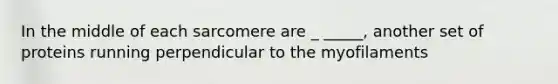 In the middle of each sarcomere are _ _____, another set of proteins running perpendicular to the myofilaments