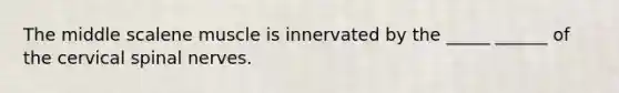 The middle scalene muscle is innervated by the _____ ______ of the cervical spinal nerves.