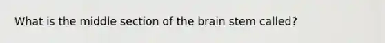 What is the middle section of the brain stem called?