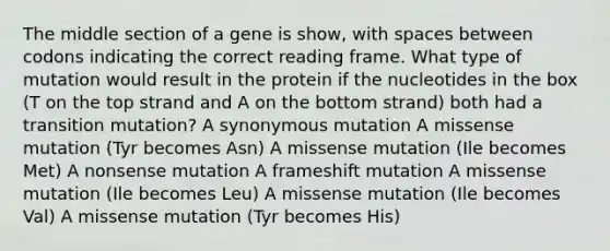 The middle section of a gene is show, with spaces between codons indicating the correct reading frame. What type of mutation would result in the protein if the nucleotides in the box (T on the top strand and A on the bottom strand) both had a transition mutation? A synonymous mutation A missense mutation (Tyr becomes Asn) A missense mutation (Ile becomes Met) A nonsense mutation A frameshift mutation A missense mutation (Ile becomes Leu) A missense mutation (Ile becomes Val) A missense mutation (Tyr becomes His)