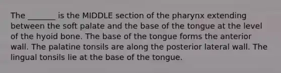 The _______ is the MIDDLE section of the pharynx extending between the soft palate and the base of the tongue at the level of the hyoid bone. The base of the tongue forms the anterior wall. The palatine tonsils are along the posterior lateral wall. The lingual tonsils lie at the base of the tongue.