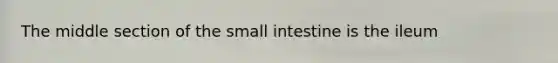 The middle section of the small intestine is the ileum
