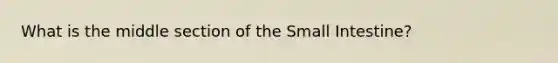 What is the middle section of the Small Intestine?