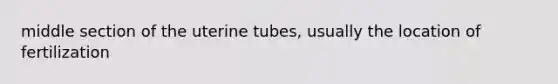 middle section of the uterine tubes, usually the location of fertilization