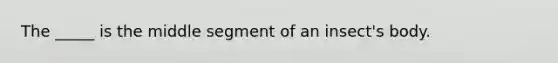 The _____ is the middle segment of an insect's body.