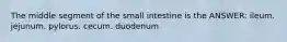 The middle segment of the small intestine is the ANSWER: ileum. jejunum. pylorus. cecum. duodenum