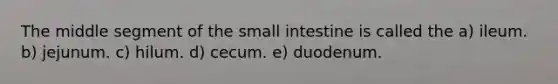 The middle segment of the small intestine is called the a) ileum. b) jejunum. c) hilum. d) cecum. e) duodenum.