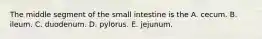 The middle segment of the small intestine is the A. cecum. B. ileum. C. duodenum. D. pylorus. E. jejunum.