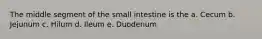 The middle segment of the small intestine is the a. Cecum b. Jejunum c. Hilum d. Ileum e. Duodenum