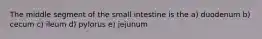 The middle segment of the small intestine is the a) duodenum b) cecum c) ileum d) pylorus e) jejunum