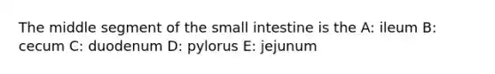 The middle segment of the small intestine is the A: ileum B: cecum C: duodenum D: pylorus E: jejunum