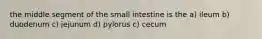 the middle segment of the small intestine is the a) ileum b) duodenum c) jejunum d) pylorus c) cecum