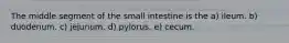 The middle segment of the small intestine is the a) ileum. b) duodenum. c) jejunum. d) pylorus. e) cecum.