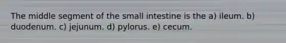 The middle segment of the small intestine is the a) ileum. b) duodenum. c) jejunum. d) pylorus. e) cecum.