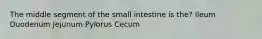 The middle segment of the small intestine is the? Ileum Duodenum Jejunum Pylorus Cecum