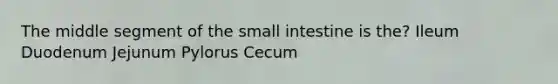 The middle segment of the small intestine is the? Ileum Duodenum Jejunum Pylorus Cecum