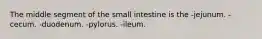 The middle segment of the small intestine is the -jejunum. -cecum. -duodenum. -pylorus. -ileum.