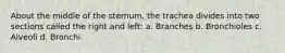 About the middle of the sternum, the trachea divides into two sections called the right and left: a. Branches b. Bronchioles c. Alveoli d. Bronchi
