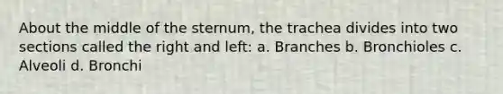 About the middle of the sternum, the trachea divides into two sections called the right and left: a. Branches b. Bronchioles c. Alveoli d. Bronchi