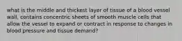 what is the middle and thickest layer of tissue of a blood vessel wall, contains concentric sheets of smooth muscle cells that allow the vessel to expand or contract in response to changes in blood pressure and tissue demand?