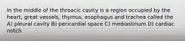 In the middle of the throacic cavity is a region occupied by the heart, great vessels, thymus, esophagus and trachea called the A) pleural cavity B) pericardial space C) mediastinum D) cardiac notch