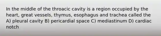 In the middle of the throacic cavity is a region occupied by the heart, great vessels, thymus, esophagus and trachea called the A) pleural cavity B) pericardial space C) mediastinum D) cardiac notch