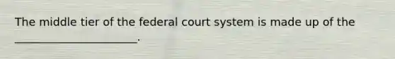 The middle tier of <a href='https://www.questionai.com/knowledge/kpreRDKlD3-the-federal-court-system' class='anchor-knowledge'>the federal court system</a> is made up of the ______________________.