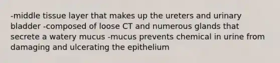 -middle tissue layer that makes up the ureters and urinary bladder -composed of loose CT and numerous glands that secrete a watery mucus -mucus prevents chemical in urine from damaging and ulcerating the epithelium