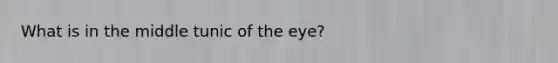 What is in the middle tunic of the eye?