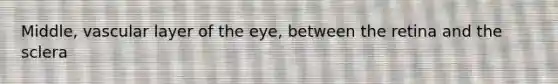 Middle, vascular layer of the eye, between the retina and the sclera